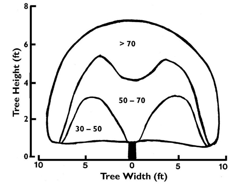 Chart about light distribution in a peach tree