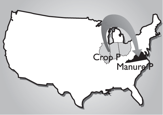 The USA map showing the one-way flow of phosphorus from the mid-western states into Virginia