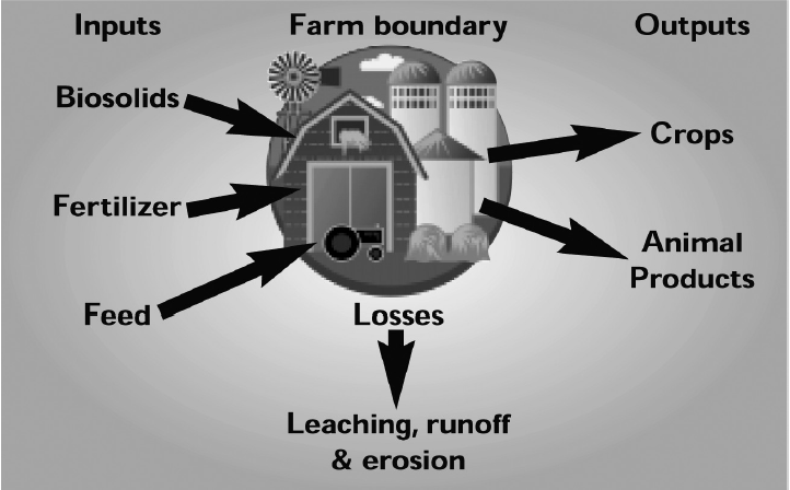 Diagram of phosphorus flow through a farming operation.