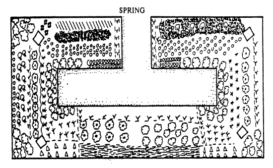 An Intensive Garden Plan for spring
