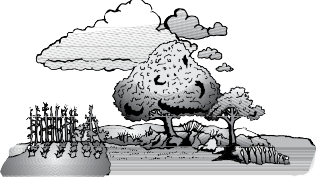 Illustration of a garden with trees, crops and clouds in the background