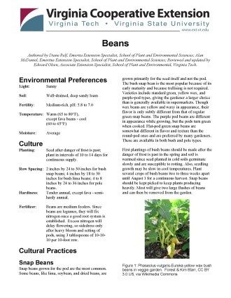 Cover page of the publication.