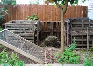 Two bins constructed from wooden pallets sit against an outdoor fence with brown and green plant material mounded between them. Similar plant material is piled inside each bin. In the foreground, a woody trunk grows from weedy ground and a frame covered with wire mesh is propped on the ground at a 45-degree angle.