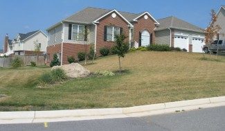 Photo of turf grass surrounding houses.