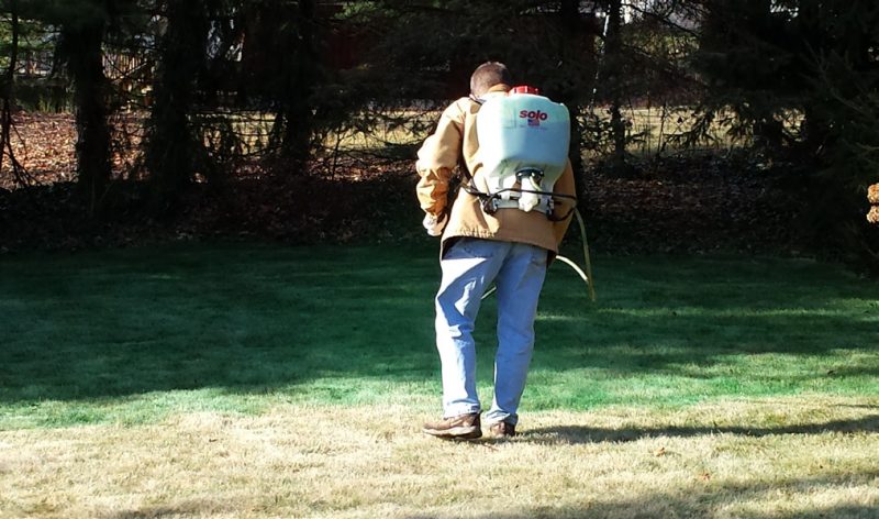 A person wearing jeans and a tang coat is spraying grass green with a hose that is attached to a back pack like contraption.
