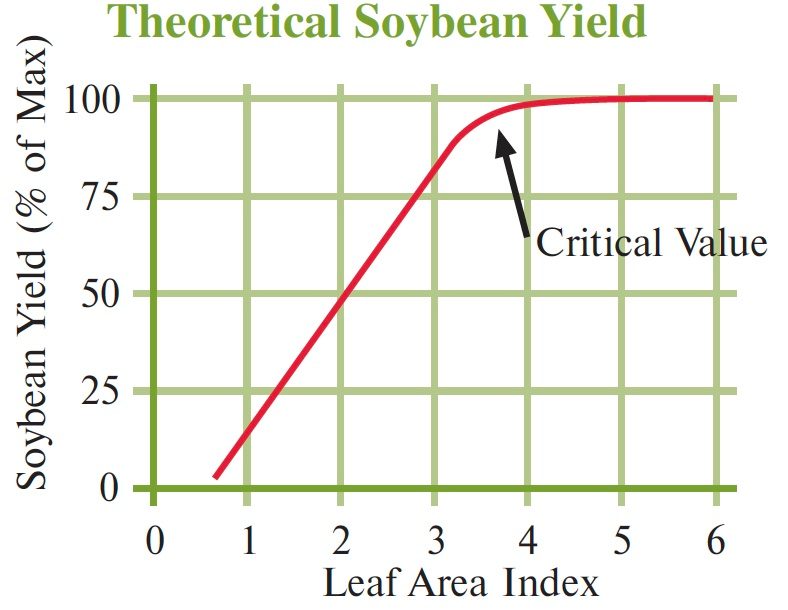 Theoretical Soybean Yield graph where soybean yield % is y axis 0-100 and leaf area index is x axis 0-6. The critical value is found at the leaf area index of 3-4.