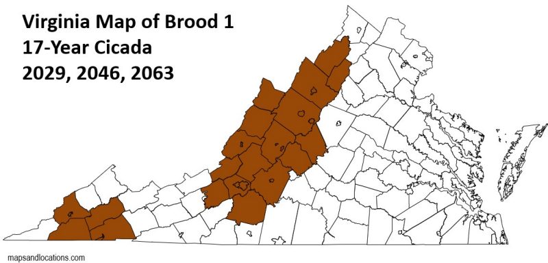 Figure 7, A map of Virginia highlighting the expected emergence of Brood 1 periodical cicadas in western central and southwestern Virginia in 2029, 2046, and 2063.