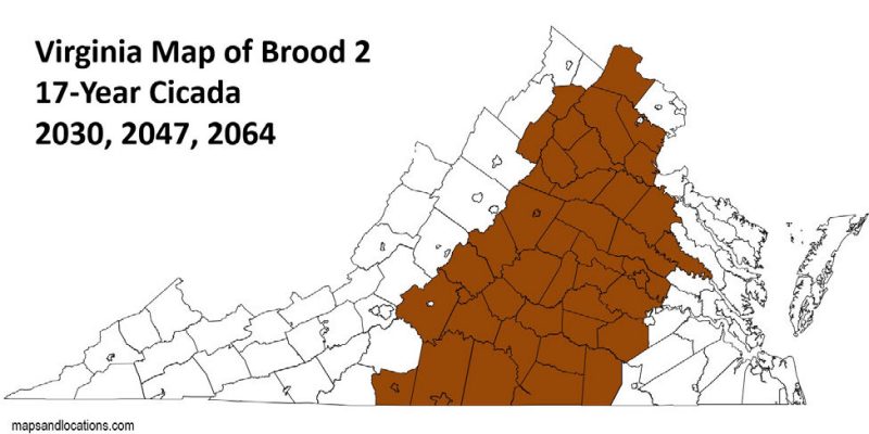 Figure 8, A map of Virginia highlighting the expected emergence of Brood 2 periodical cicadas in the Virginia Piedmont in 2030, 2047, and 2064.