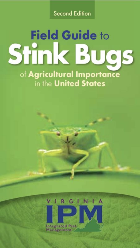 Cover, Field Guide to Stink Bugs