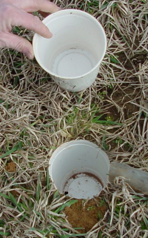 White cup outside of the soil and another white cup that is ppermanently in the soil