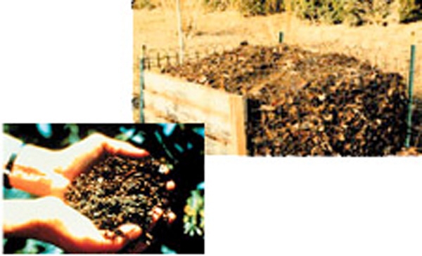 Two pictures of mature compost in a bin and in hands.