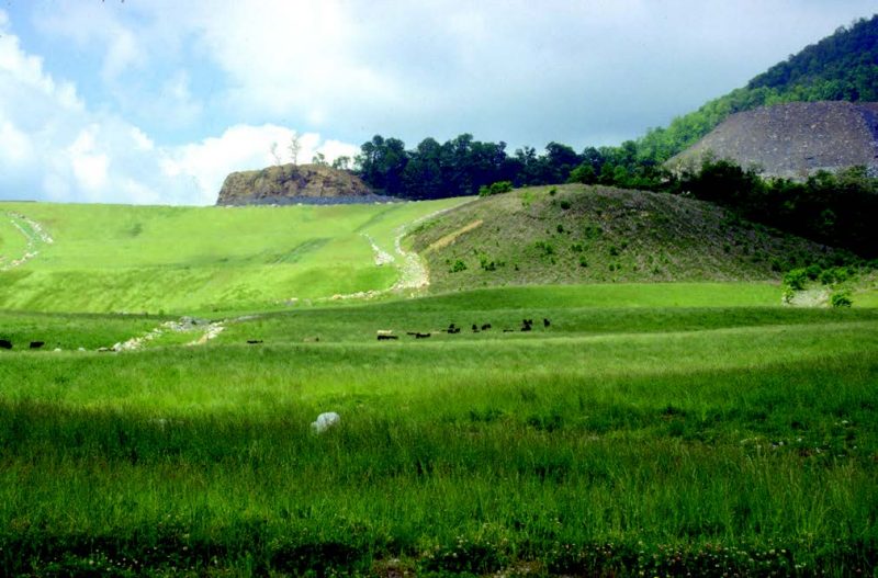 Green grass in the foreground leads up to a green hill with trees and a blue yet cloudy sky in the background.