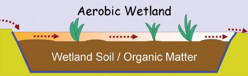Aerobic wetland above ground, wetland soil/organic matter below