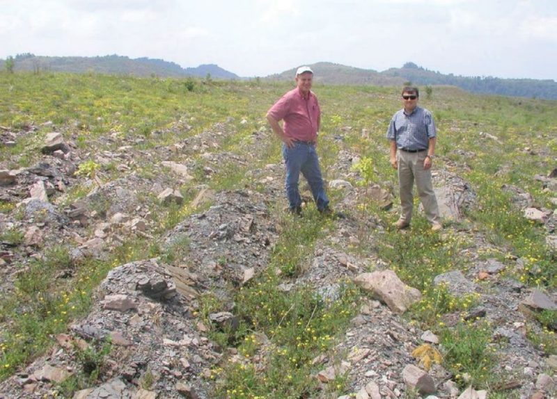 Figure 12. Native hardwoods have been established successfully on a West Virginia mine site that was ripped to mitigate mine soil compaction. Hardwood seedlings can be seen growing on the mounds. The loose mine soil created by the ripping operation and the sparse nature of this tree-compatible ground cover have aided seedling survival.