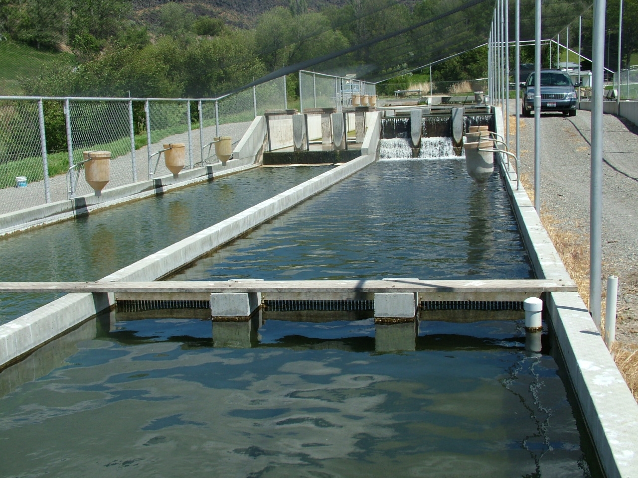 A picture of trout farm