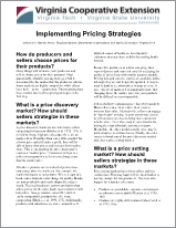 Cover for publication: Implementing Pricing Strategies