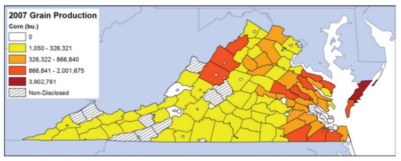 Map of Virginia corn production by county.