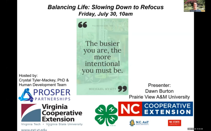 Cover for publication: Balancing Life: Slowing Down to Regain Focus