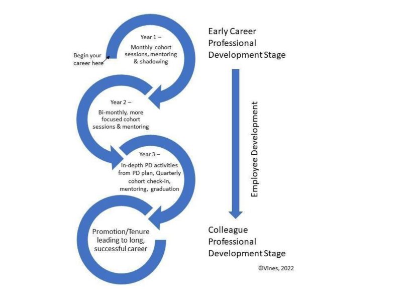Diagram of early career professional development stages, from year one to promotion/tenure. 