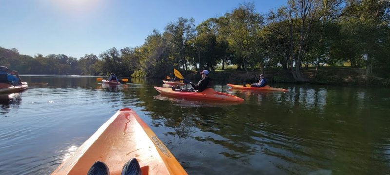Six people in brightly colored kayaks paddle in a river, surrounded by trees.