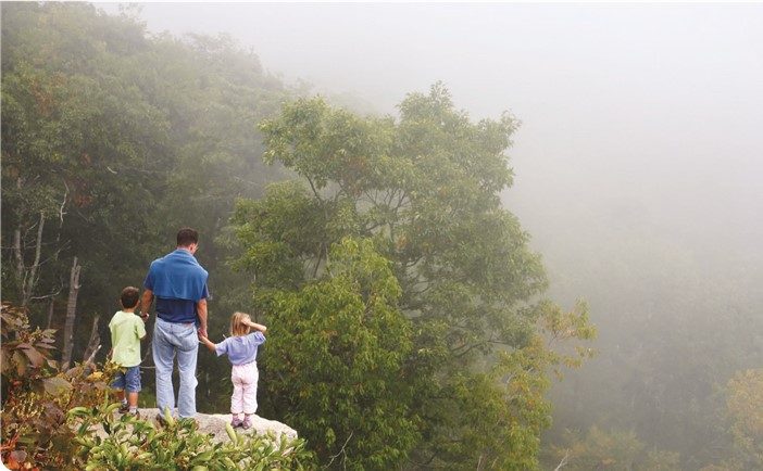 A father holding his kids hands, a girl and a boy. They are standing on a mountaing top looking at woods