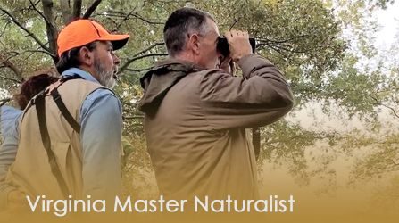 Video Virginia Master Mnaturalist