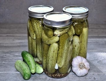 Cucumber pickles in a jar
