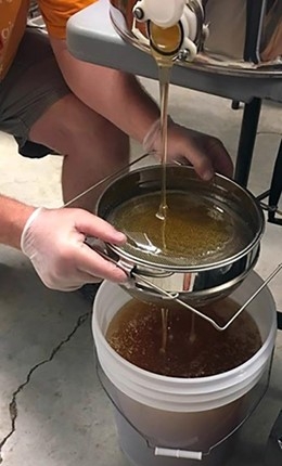  Filtering honey before bottling