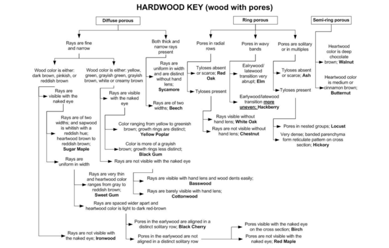 tree diagram about Hardwood key.