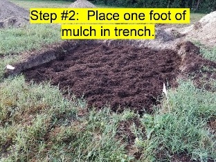 The trench with a foot of mulch added to the bottom of the trench.