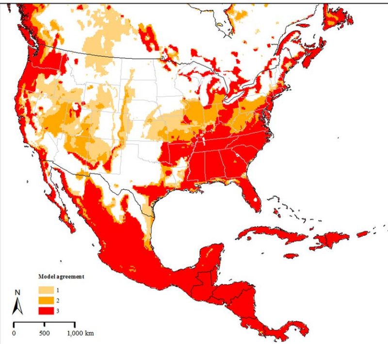 Figure 2. Potential spatial distribution of the newly introduced longhorned tick, Haemaphysalis longicornis in North America.