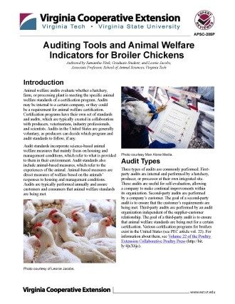 Cover page of the publication.