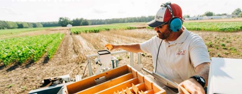 Hunter Frame, Extension cotton production specialist, sorts seed samples on a plot at the Tidewater AREC.