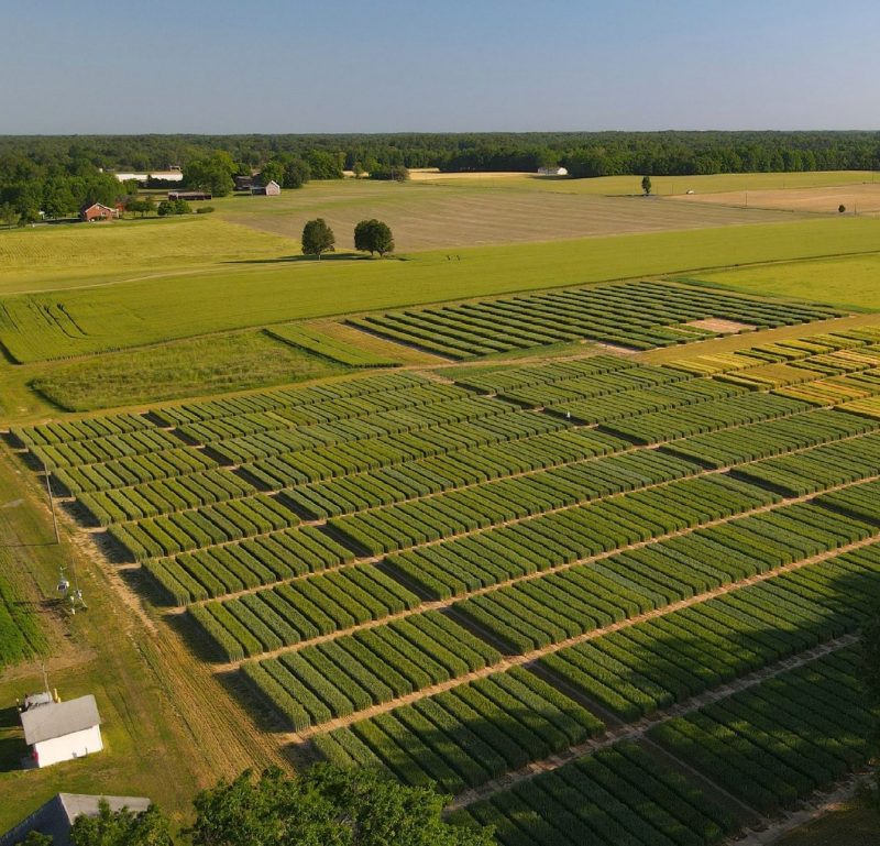 Overhead view of crop fields.