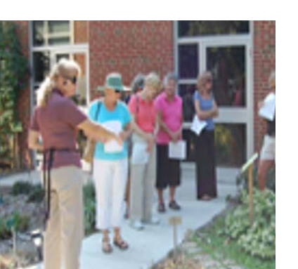 A group of people watching plants in front of a building