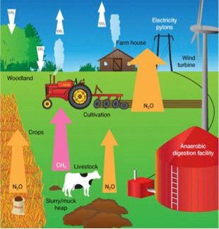 Illustration depicting source of GHGs and renewable energy sources on farms.