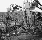 The pictures a Korvan vineyard mechanization system shear pruner showing the pruner engaging the grapevines.