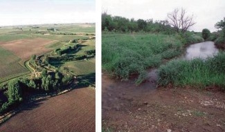 Side by side photos of a forested riparian buff and a vegetated buffer.