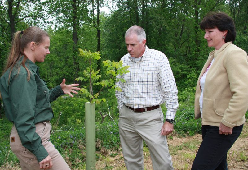 photo of three people talking and looking at a seedling with a protection in the woods