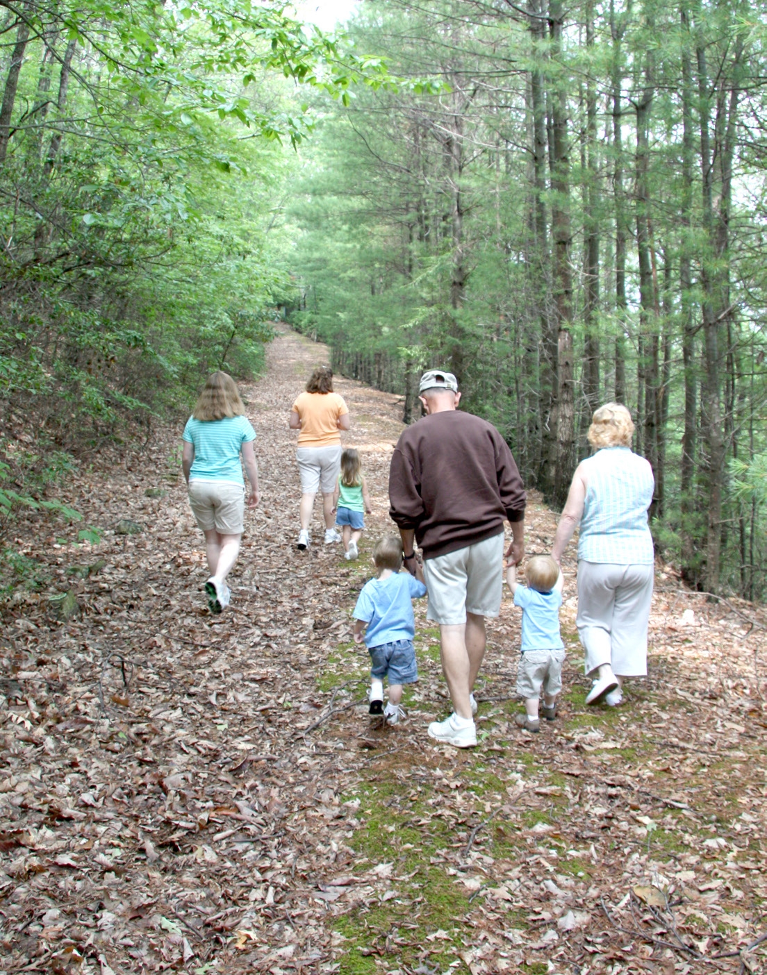 photo of a family walking into the woods