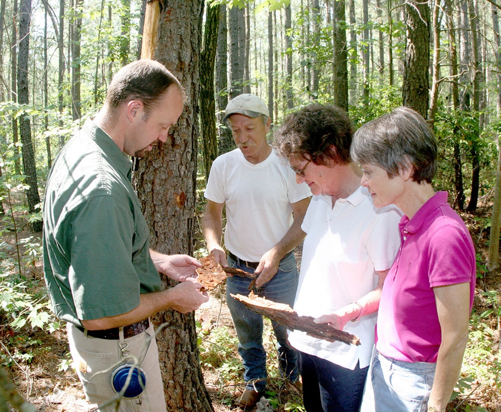 photo of a group of people looking at barks in the woods