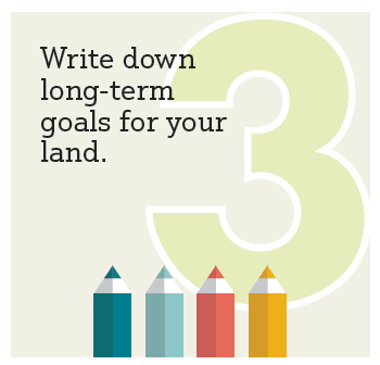 Step3. Write down long-term goals for your land.