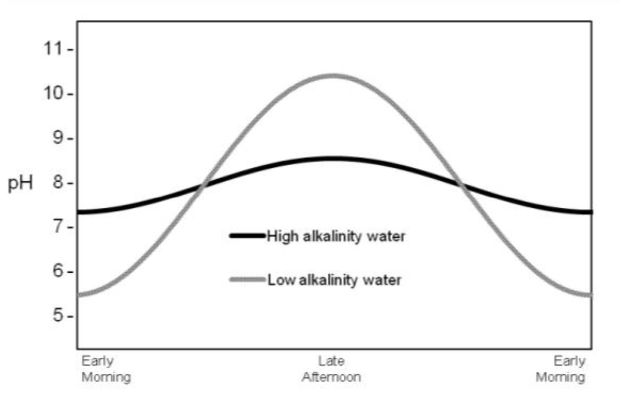 A chart showing changes in pH levels during a 24-hour period based on the akalinity of water.