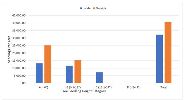 Figure 3. Tree seedlings per acre by height category.