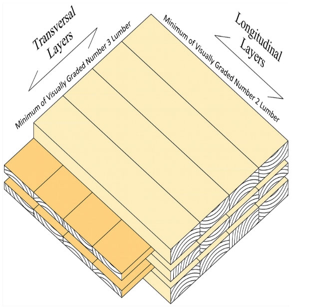 Illustration of structural grade CLT layups