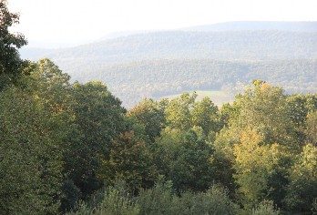 photo of woods with a distant view