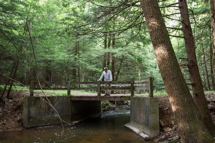 photo of a person standing on a bridge in the woods