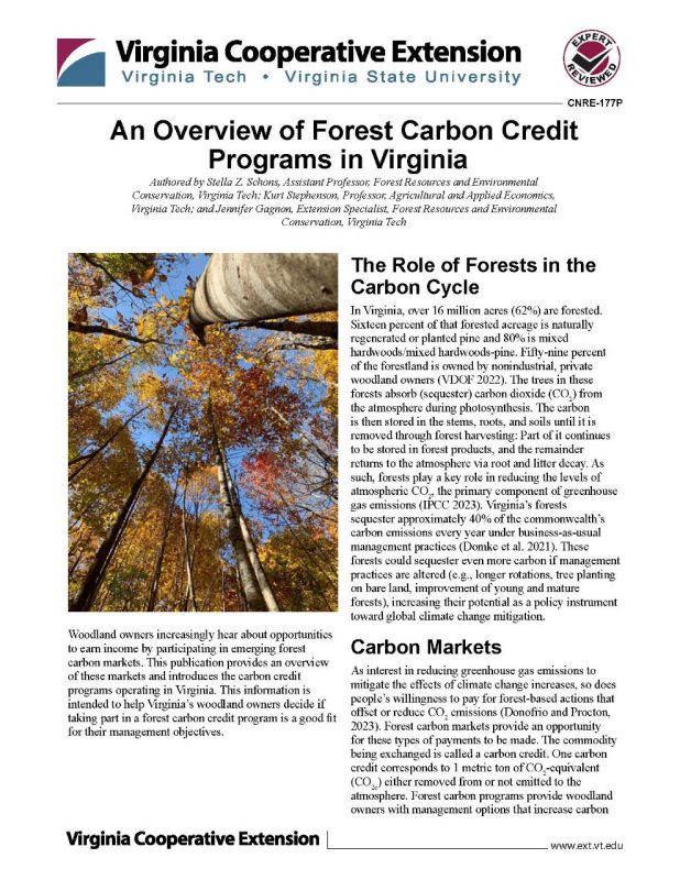 Cover page of the publication.