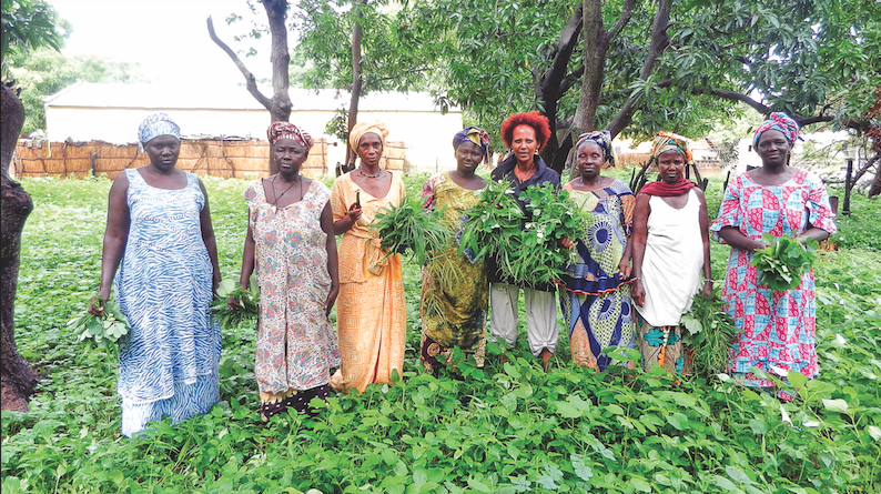 Eight women, including the author Ozzie Abaye, standing in green groundcover holding green plants with trees in the background.
