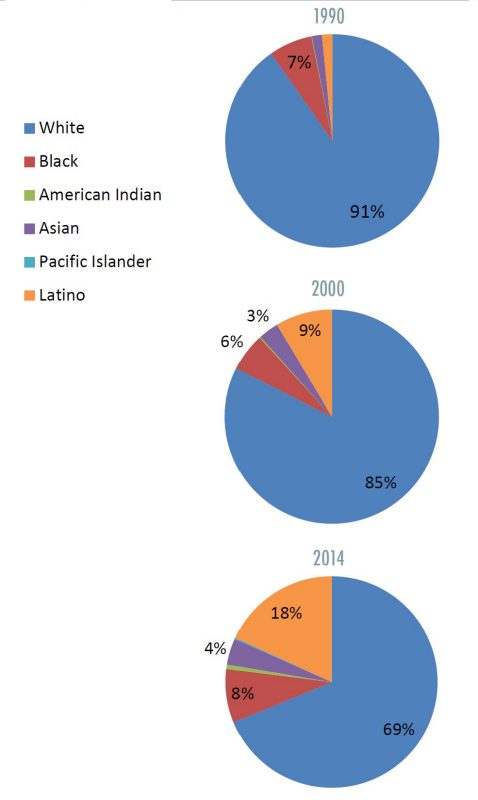 Race and Ethnicity Graphs